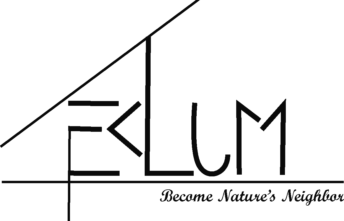 EKLUM house Puerto Morelos