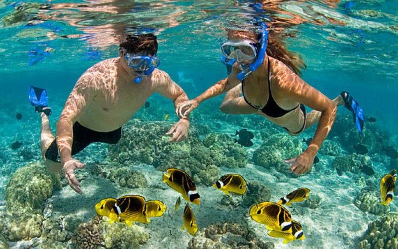 snorkel in puerto morelos snorkel in puerto morelos